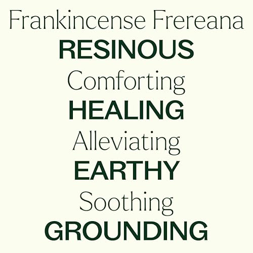 Miniatura 4 de Plant Therapy - Frankincense Frereana (Incienso Frereana) Aceite esencial orgánico 100% puro, certificado por USDA, orgánico, sin diluir,