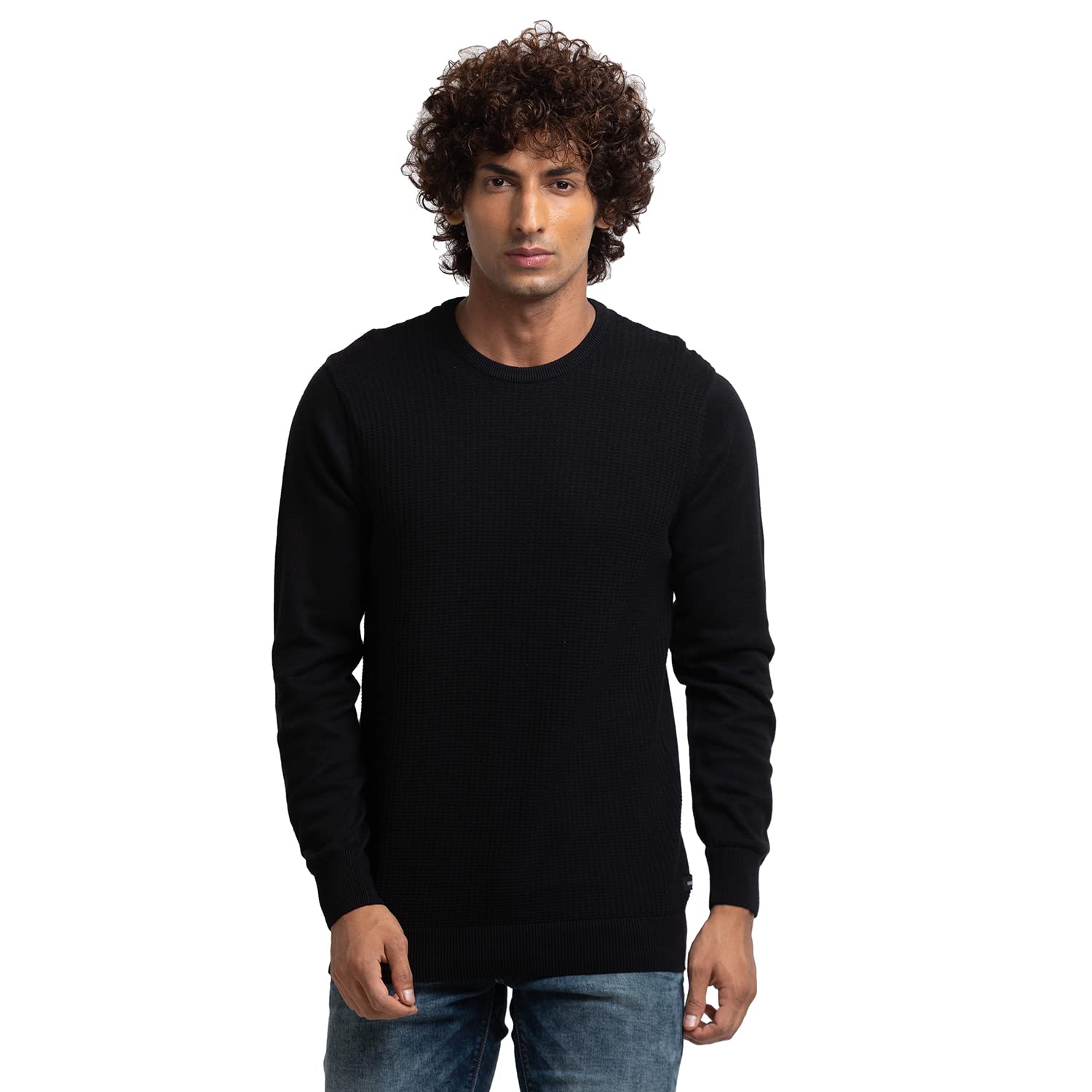 spykar Men Cotton Round Neck Casual Sweater-picture-23