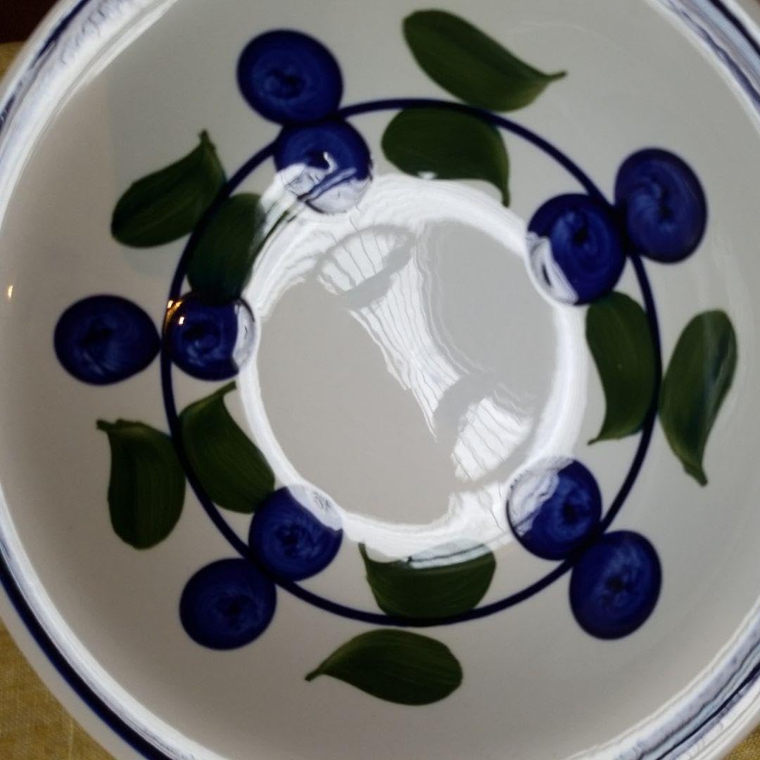 Amazon | Rorstrand ロールストランド イレーネ IRENE スープ皿 パスタ