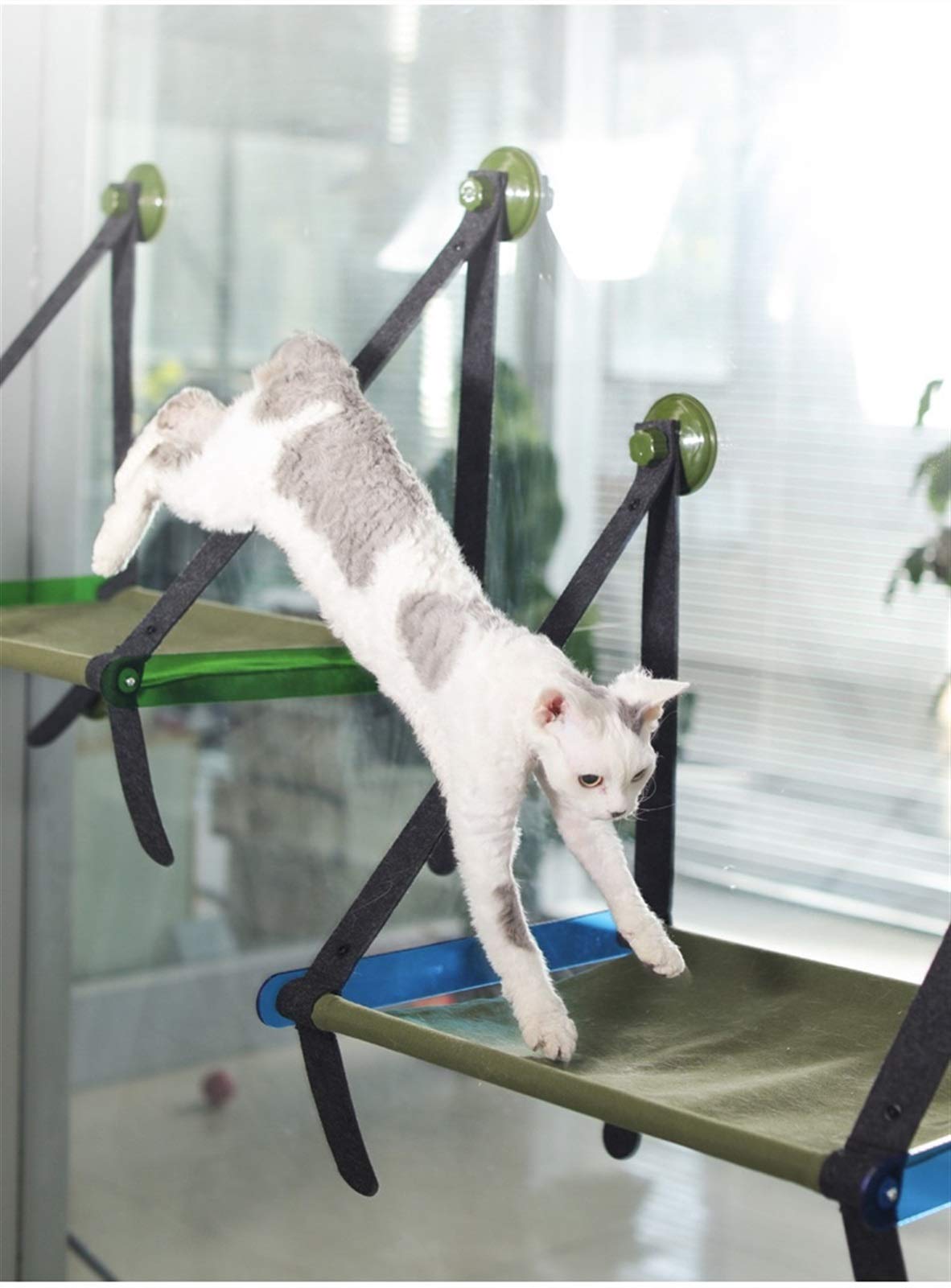 Amaca da Finestra per Gatti, Amaca da Finestra per Gatti con 4 Forti Ventose in Grado di Tenere più di 17Kg, per Gatti - Facile Installazione (Color : Green)