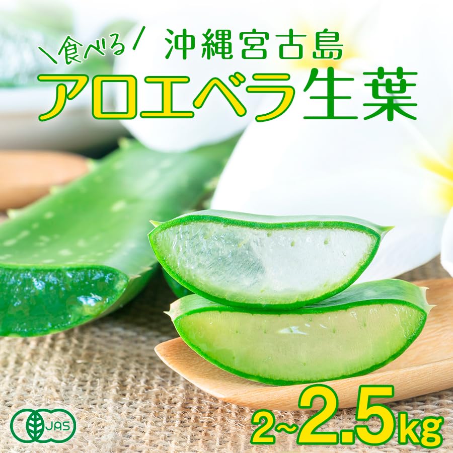 Amazon.co.jp: アロエベラ 葉 生葉【2～2.5kg】食用 食べる