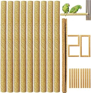 best bird perches for bourkes parakeets that your birds will love 1 best bird perches for bourkes parakeets