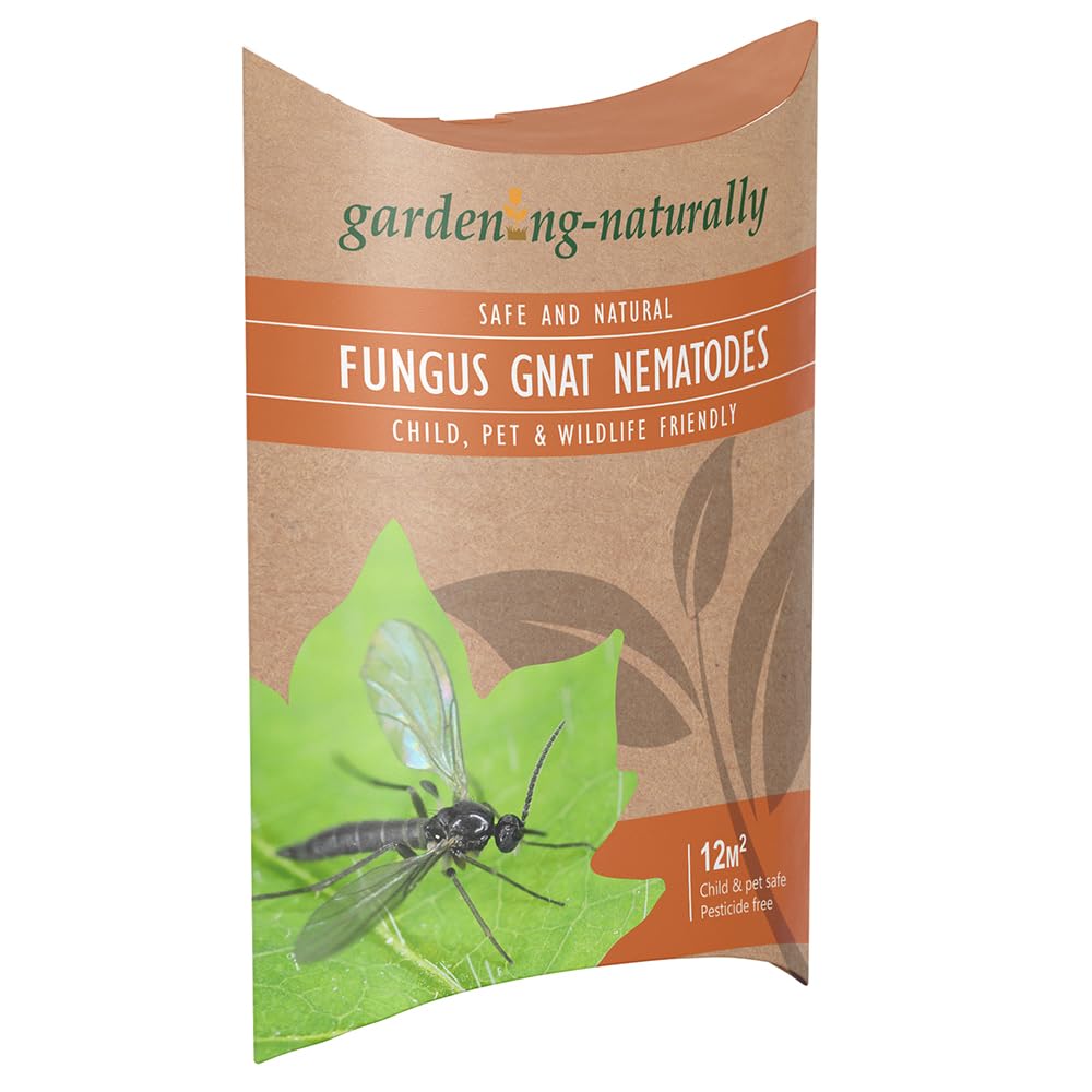 Fungus Gnat Nematodes for Houseplants and Indoor Plants โ Natural Soil Drench Treatment for Fungus Gnat Larvae in Compost โ Treats up to 12 sq.m