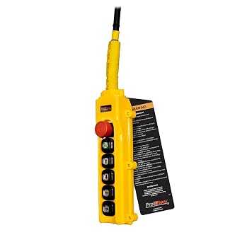 Prowinch 0.5 ton 1100 lb 230/460V Electric Chain Hoist Power Trolley 2 Speed 20 ft. Lifting G100 Chain H3 Duty