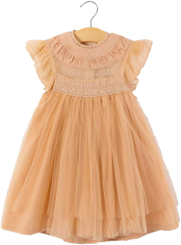 Colorful Childhood Girls Multi-Layer Tulle Lace Dress Princess Wedding Birthday Party Tutu Dress - Image 6