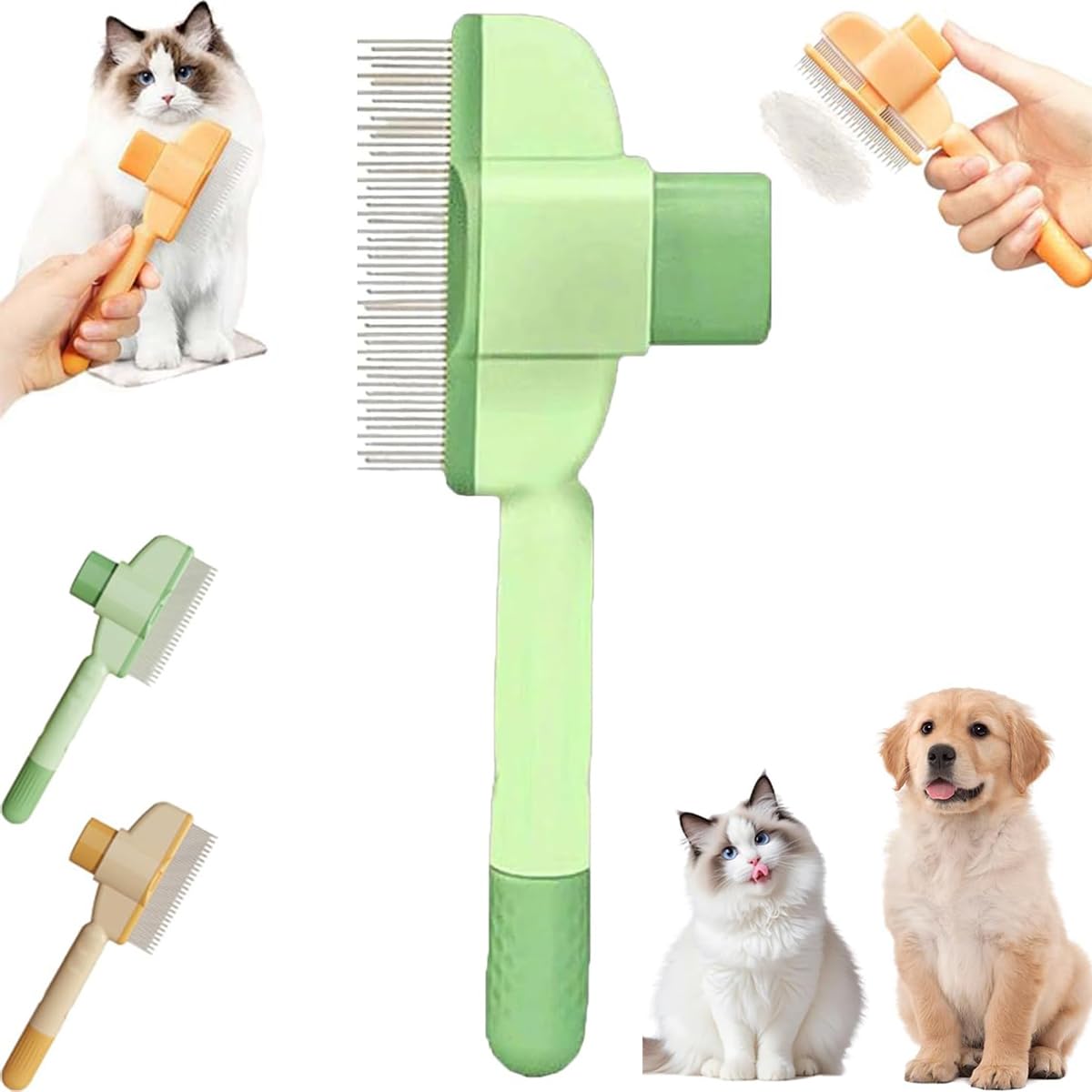 Dog Groomer Zen Grooming Dog Spa Zen Dog Grooming Mesa, AZ Paws N