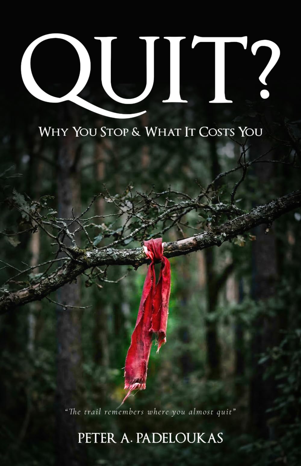 QUIT?: Why You Stop & What It Costs You