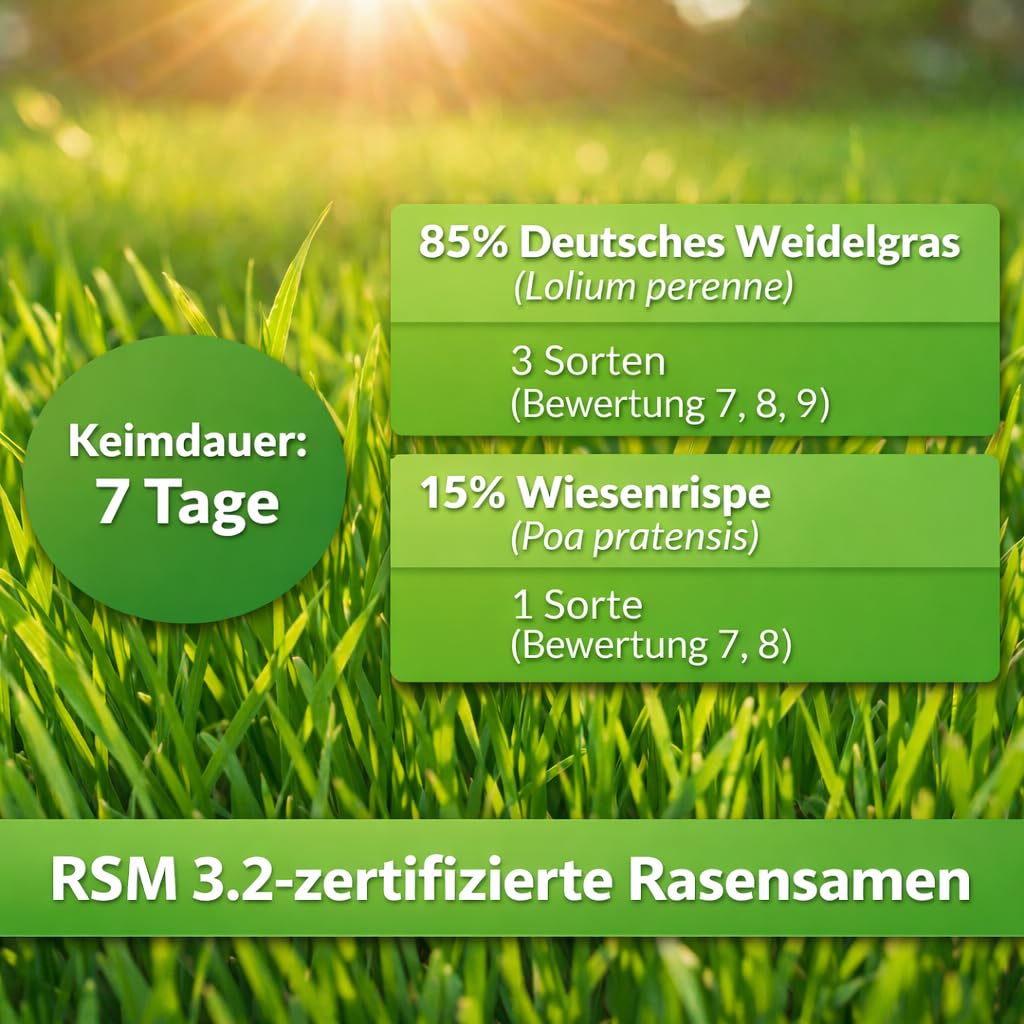 Hesa RSM 3.2 - Semences de gazon à germination rapide de qualité professionnelle - 10 kg pour 350 m²