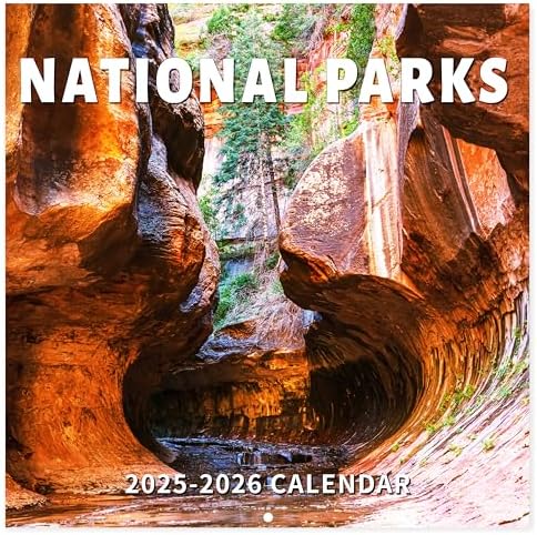 2025-2026 Wall Calendar - Large Print 18 Month Calendar With Big Grids & Flower Designs