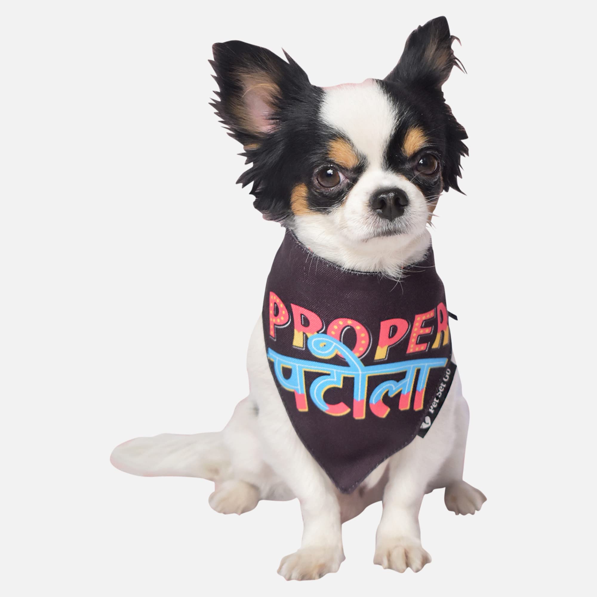 See full amazon price history chart for Pet Set Go Proper Patola Dog Bandana | Pet Bandana | Scarf | Gifts for Dogs & Cats | Pet Accessory | for Small, Medium, Large Breed Dogs - Pack of 1, Colour (Black) Pet Set Go Proper Patola Dog Bandana | Pet Bandana | Scarf | Gifts for Dogs & Cats | Pet Accessory | for Small, Medium, Large Breed Dogs - Pack of 1, Colour (Black) (B0C4PZ254N) Amazon Price History, Amazon Price Tracker