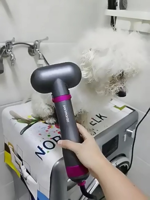 お手入れ・トリミング用品 mino Pet Hair Dryer mino Pet Hair Dryer