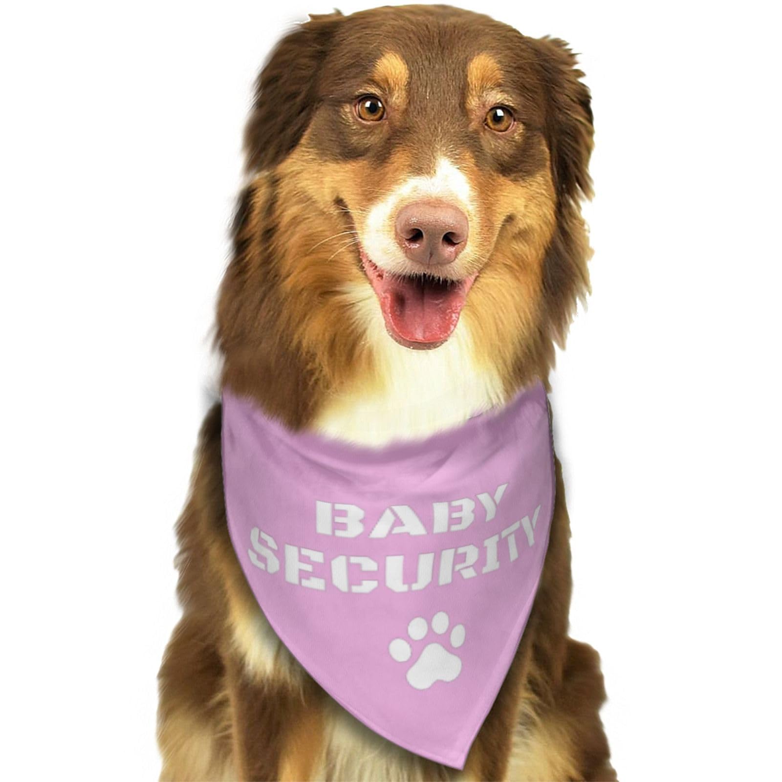 Baby Security in Training, anuncio de embarazo, bandana de revelación de género para perro, bufanda, accesorios de decoración, regalo para fiesta de amantes de los perros (rosa)