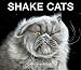 Shake Cats