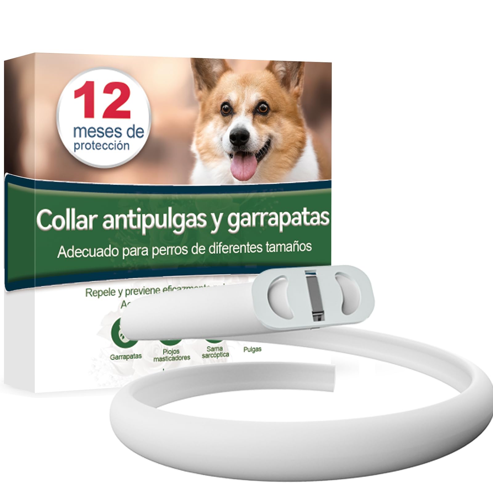 Anti-parasitic Dog Collar, Safe and Effective Anti-Parasitic Collars for Dogs, 12 Months Effective Flea Collar 65 cm for Small, Medium and Large Dogs (25.5 inch)