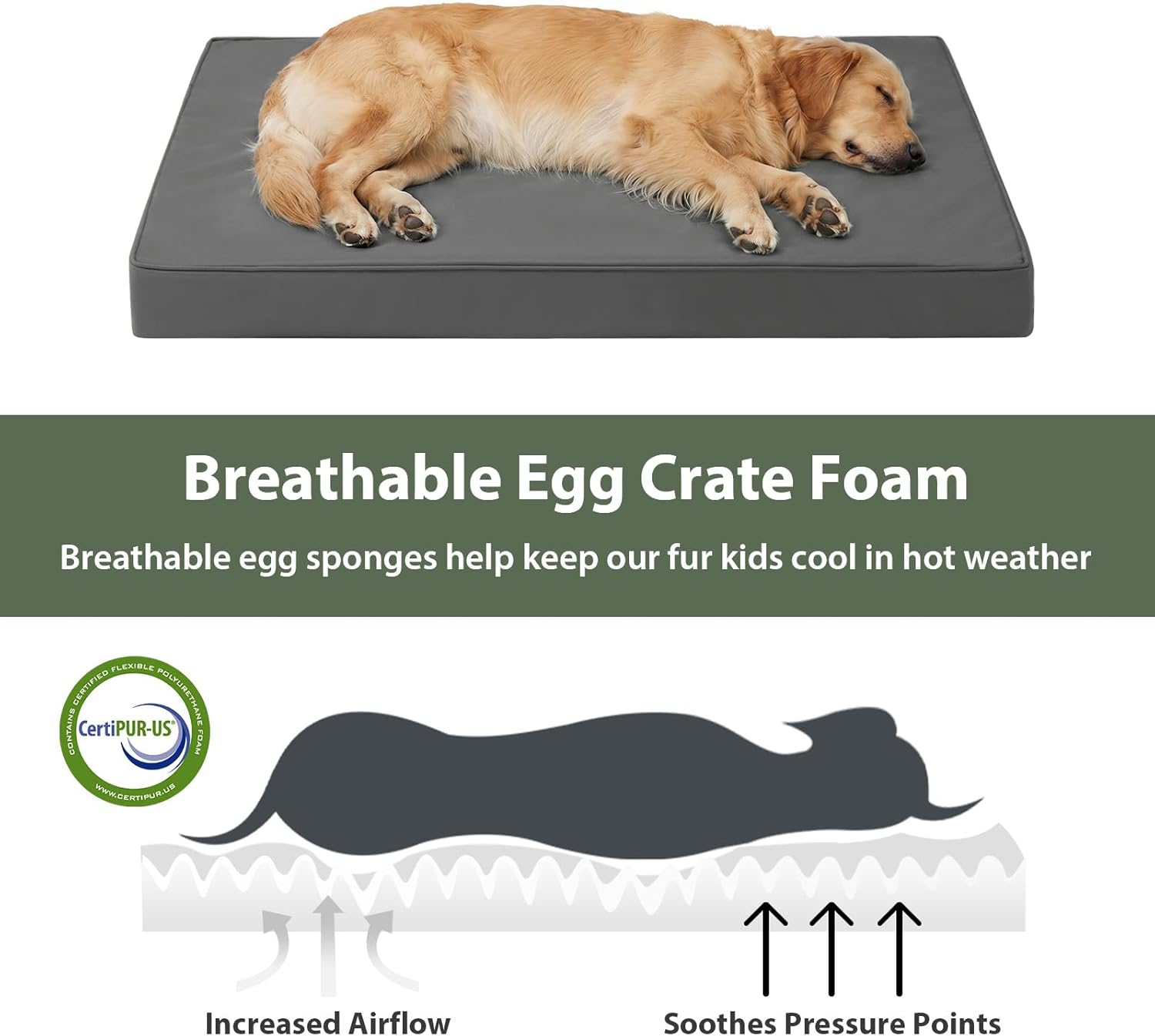 WNPETHOME Outdoor Dog Bed Waterproof, Large Outdoor Dog Bed for Large Sized Dog, Outdoor Indoor Dog Bed with Removable Washable Cover, Egg Crate Foam Dog Crate Mat, Durable Waterproof Dog Bed