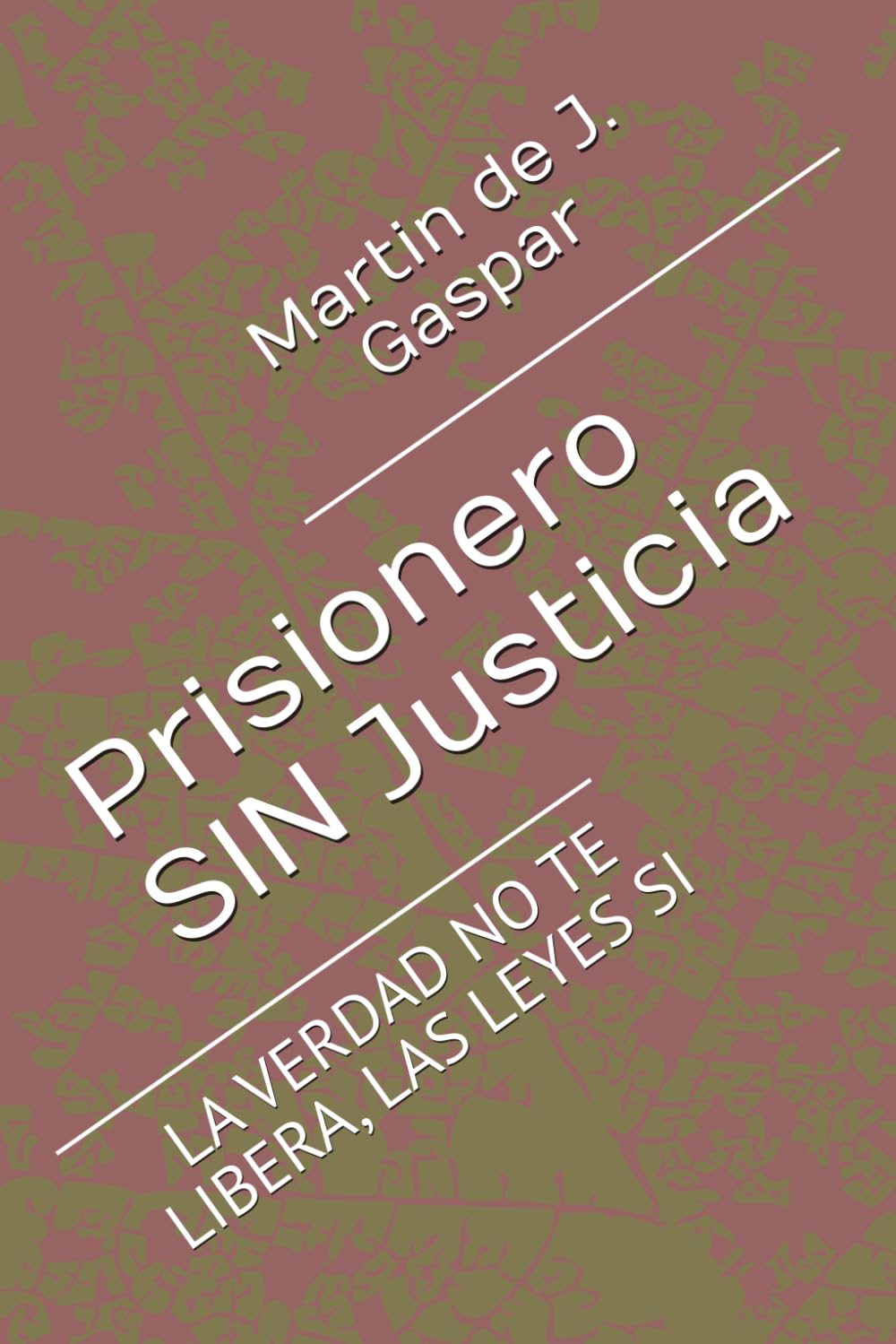 Prisionero SIN Justicia: LA VERDAD NO TE LIBERA, LAS LEYES SI