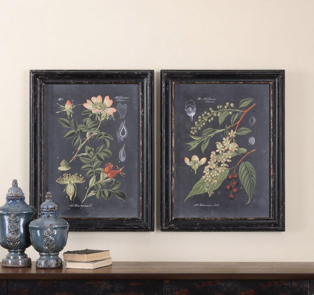 Amazon.com: Uttermost 56053 Midnight Botanicals Wall Art (Set of 2