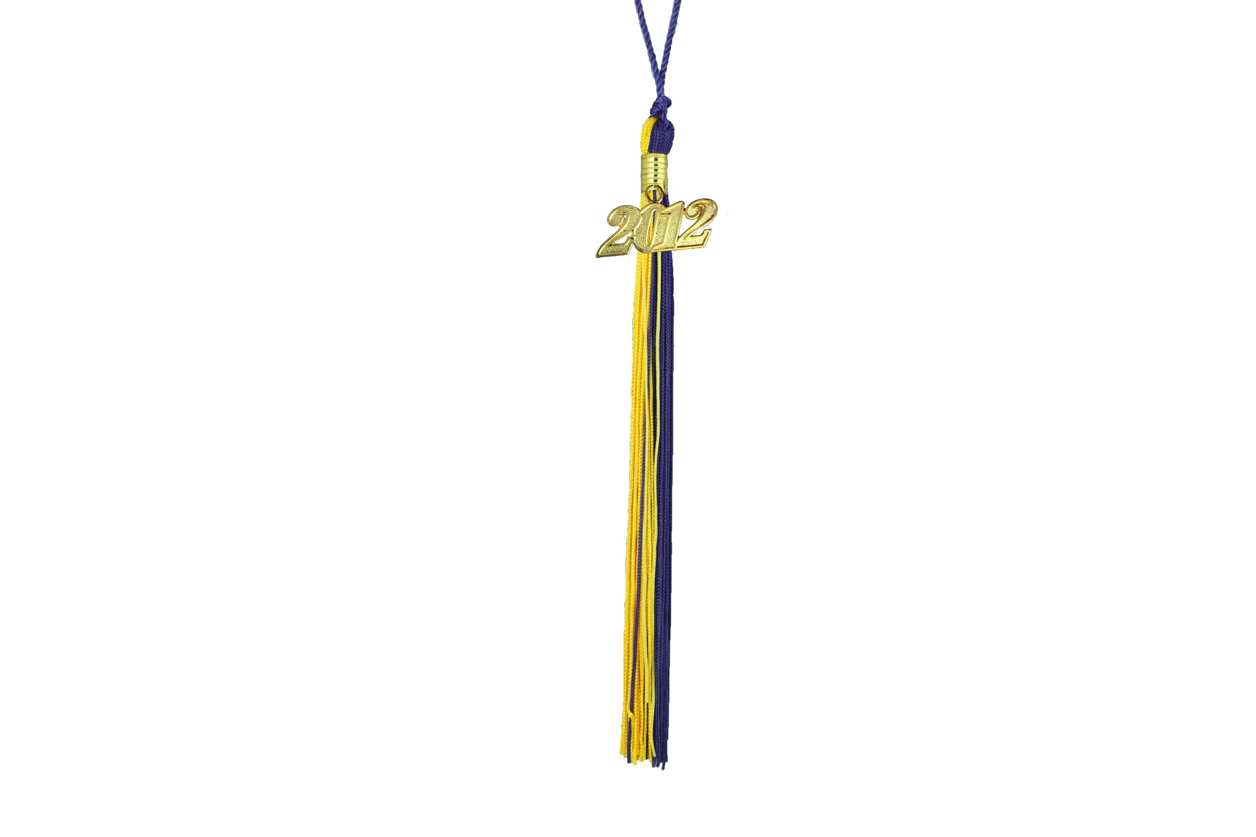Graduation Tassel with 2010 Year Charm (Purple and Gold)