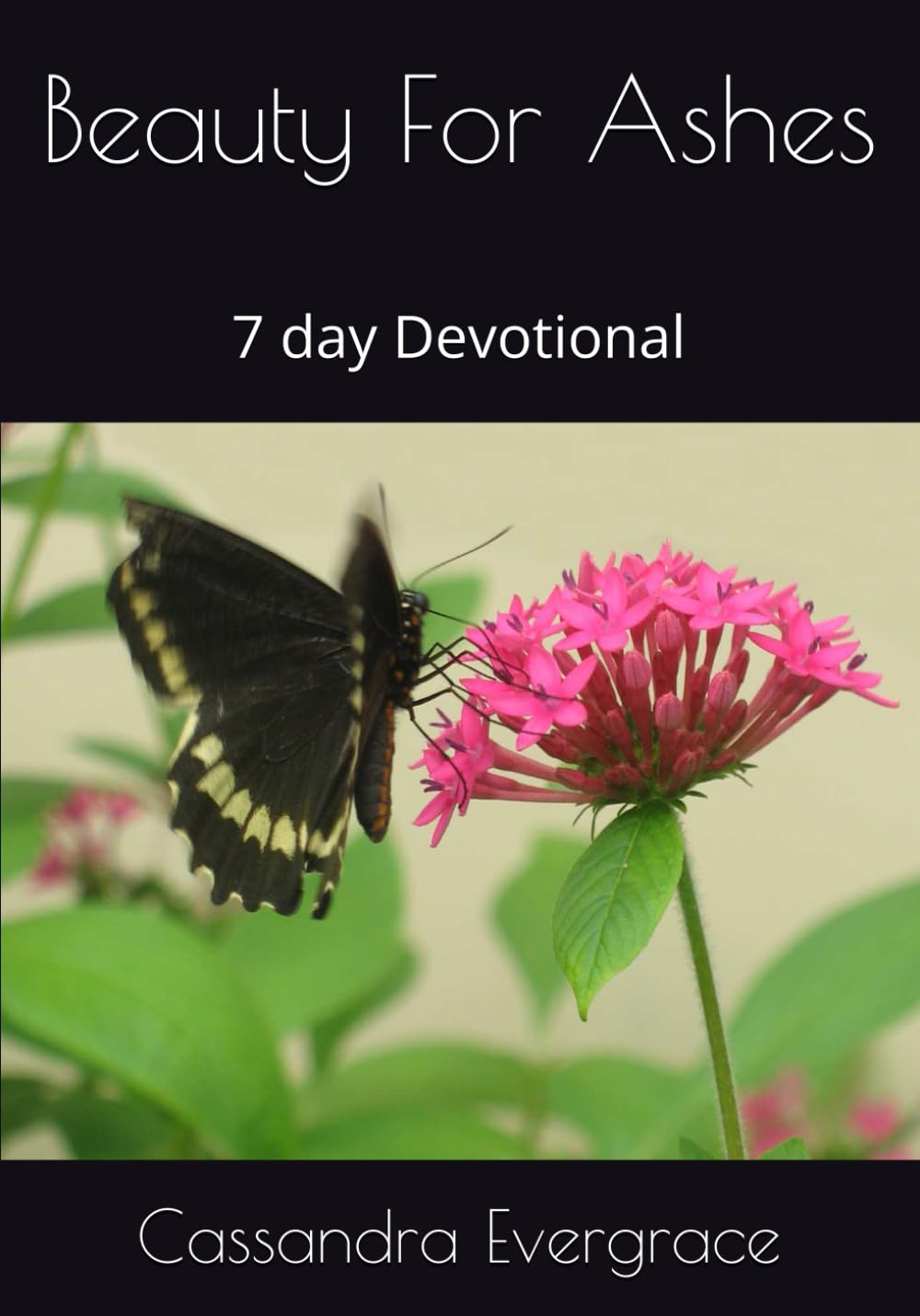 Beauty For Ashes: 7 day Devotional