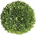 Mills Floral Company Boxwood Ball 6