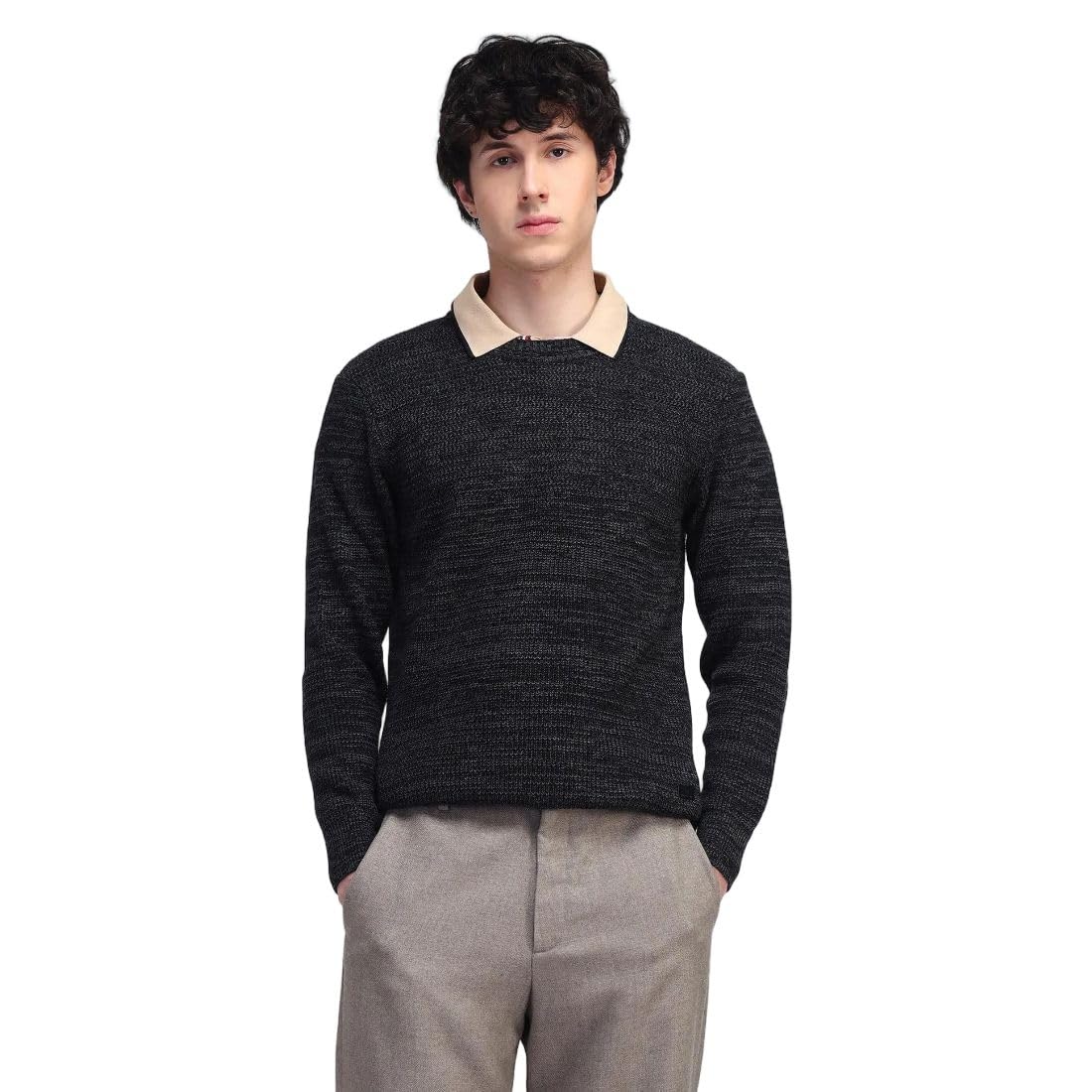 flying machine Men's Regular Fit Sweater| Patterned Knit-picture-24
