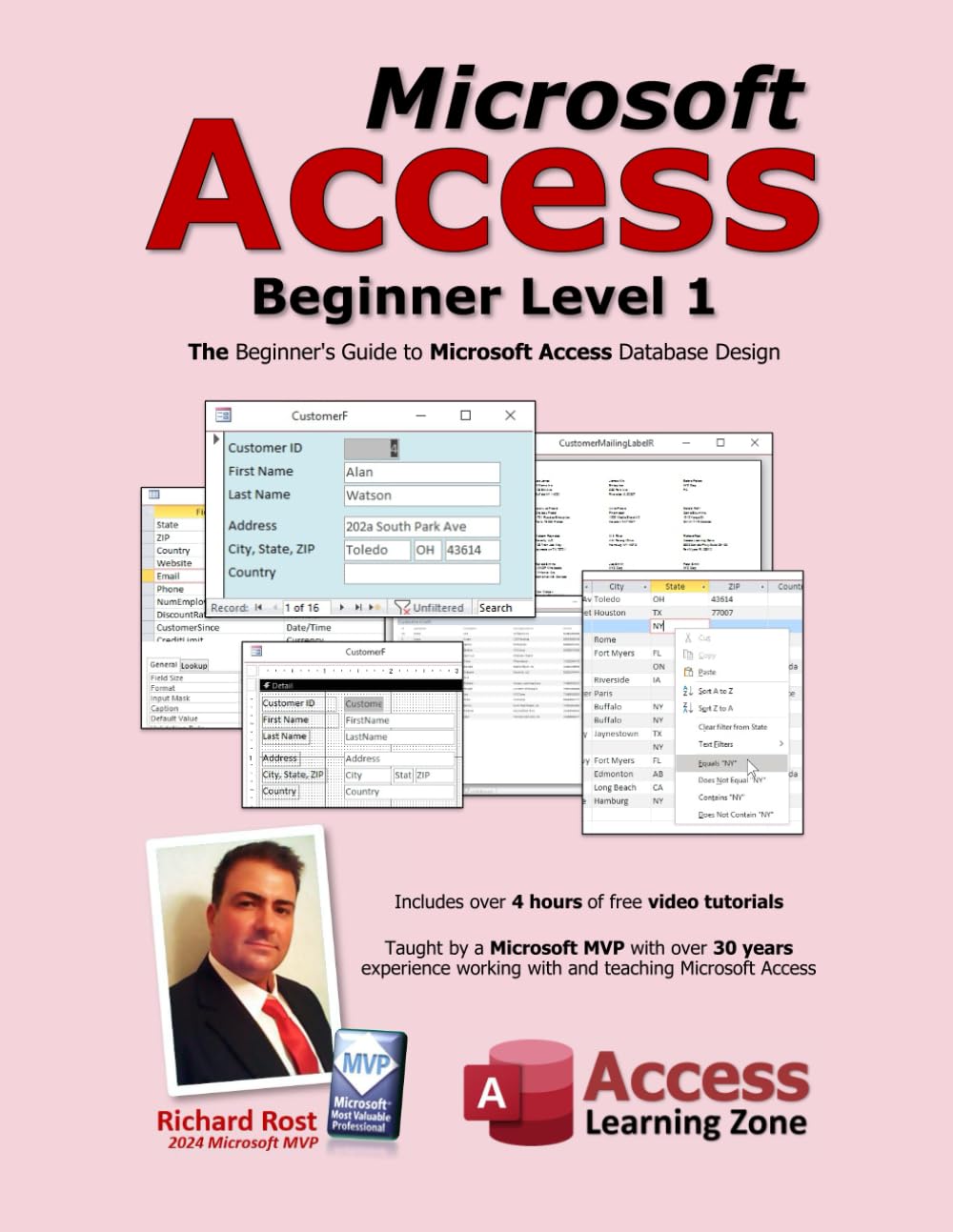 Microsoft Access Beginner Level 1: The Beginner's Guide to Microsoft Access Database Design