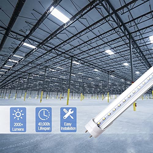 Lightingwill Led T8 Light Tube 3Ft, Daylight White 5000K, Dual-End Powered Ballast Bypass, 1600Lumens 15W (32W Fluorescent Equivalent), Clear Cover, Ac85-265V Lighting Tube Fixtures, 1 Pack #TOP3