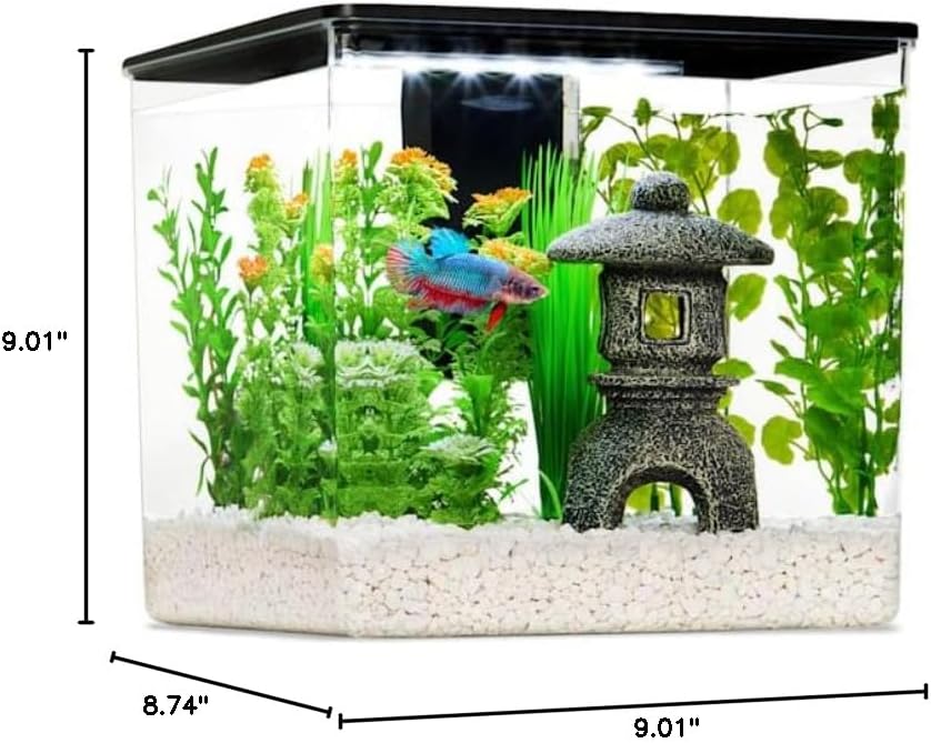Imagitarium Betta Cube Kit 2.5 Gallons