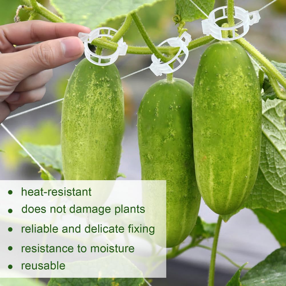 200 Stück Pflanzenstützen-Gartenclips, Tomatenclips, Ernte-Clips für Weingemüse, Befestigung von Tomaten, Paprika, Auberginen, lässt Pflanzen aufrecht und gesünder wachsen