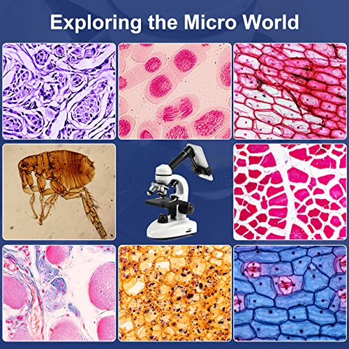 Lamulaoptics Microscope For Adults Kids Students, 100X-2000X Microscopes, Metal-Body Dual Led Illumination, Biological Compound Monocular Microscope Kit For School Lab, Home Education W/Phone Adapter #TOP4