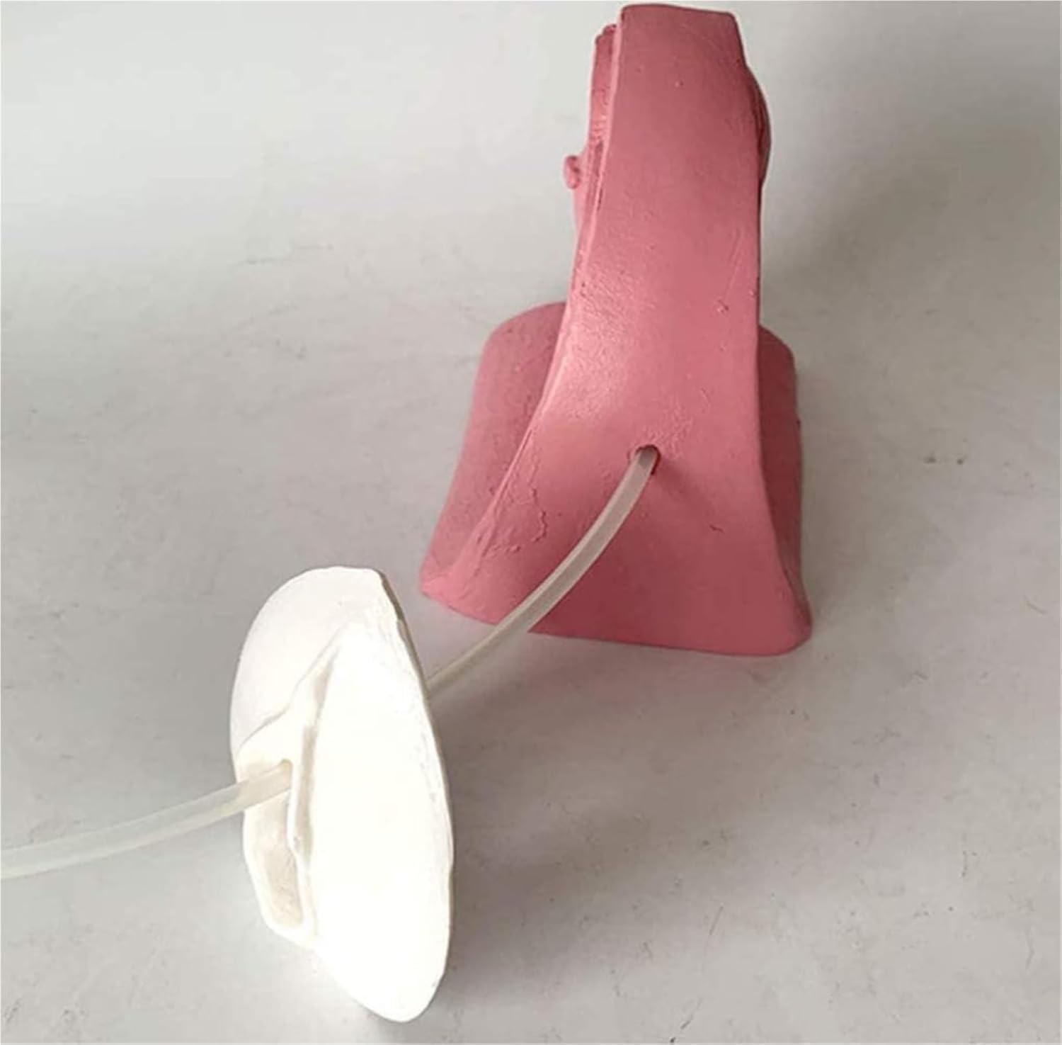 Modello Di Cateterismo Femminile O Maschile, Simulatore Di Modello Di Contraccezione Con Base Antiscivolo, Design Ad Alta Simulazione E Chiara Struttura, Per L'insegnamento Della Pianificazione