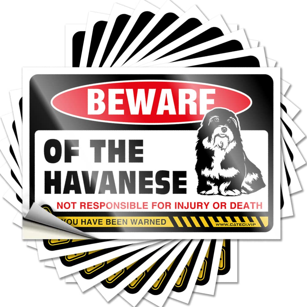 Beware of Havanese Soft Area Assorted - Tiki Saying Self Adhesive Sticker(12X18CM)