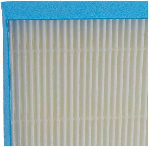 Winix 115122 PlasmaWave Series Long Life Washable Filter Size 21 Carbon Pre-Filter 4, White
