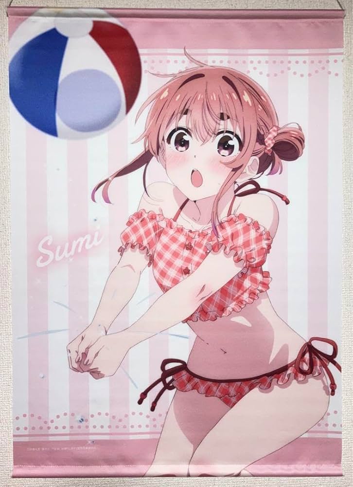 彼女お借りします 部屋着 タペストリー 桜沢墨 Amazon.co.jp: 彼女お借りします、B2タペストリー 水着メイド