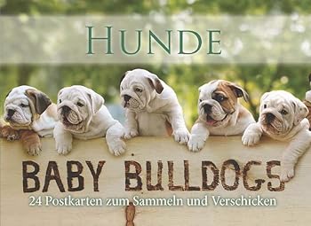 Paperback Postkartenbuch Hunde [German] Book