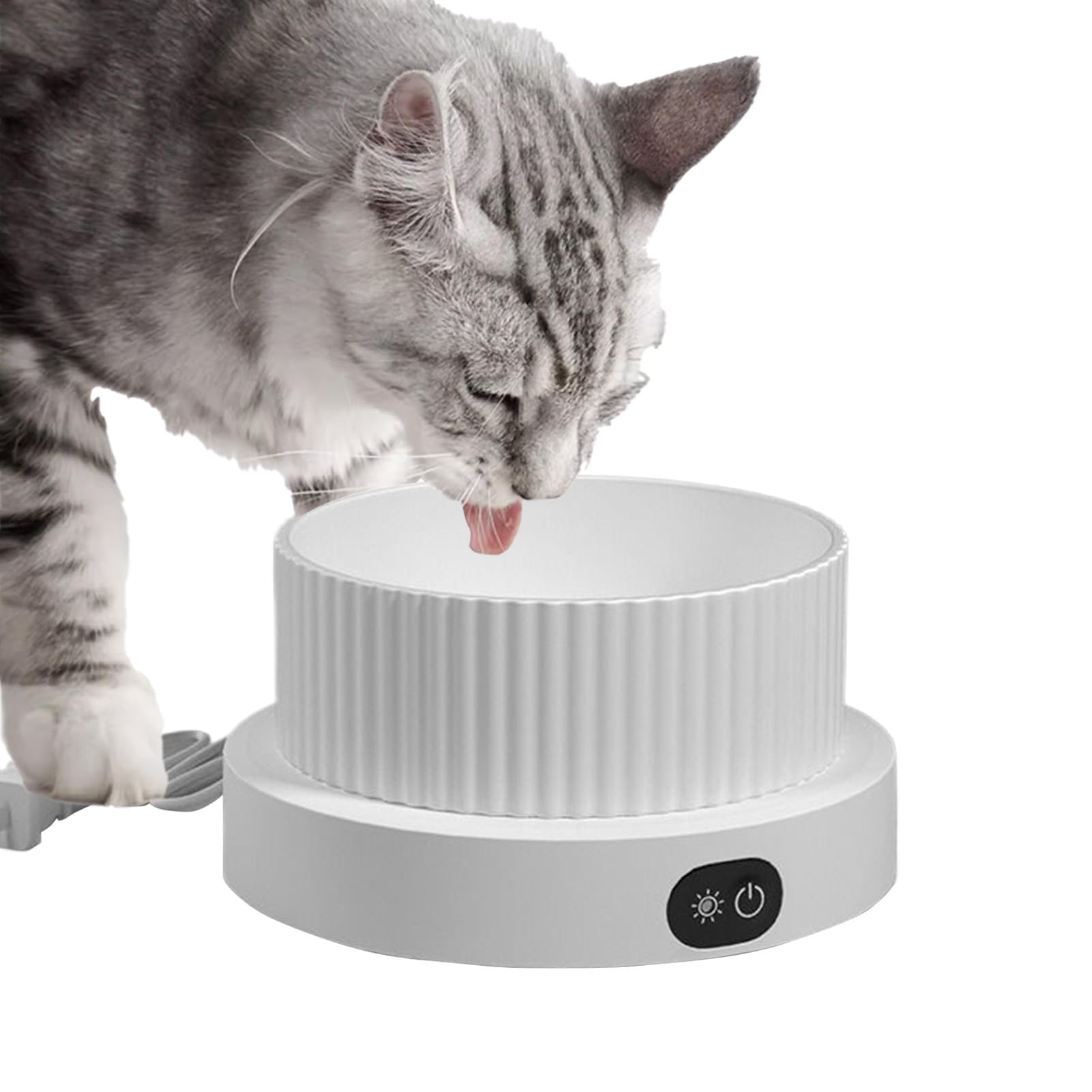 Gamelle chauffante pour chien hiver extérieur maison balcon et voyage