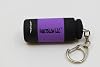 DirectGlow USB UV Torch LED Keychain Flashlight Ultraviolet Blacklight Rechargeable Portable Key Ring Passport ID Currency Detection Camping (5, Red)