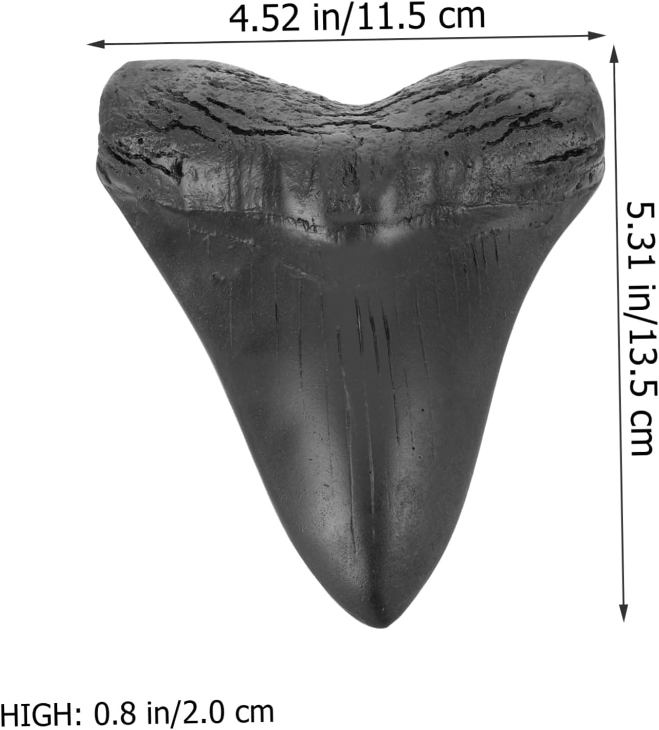 Megalodon Shark Tooth Model Teeth for Student Teaching Home Decor Detailed Giant Simulation Craft for Collectors DIY Projects