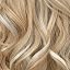 Honey Blonde with Highlights