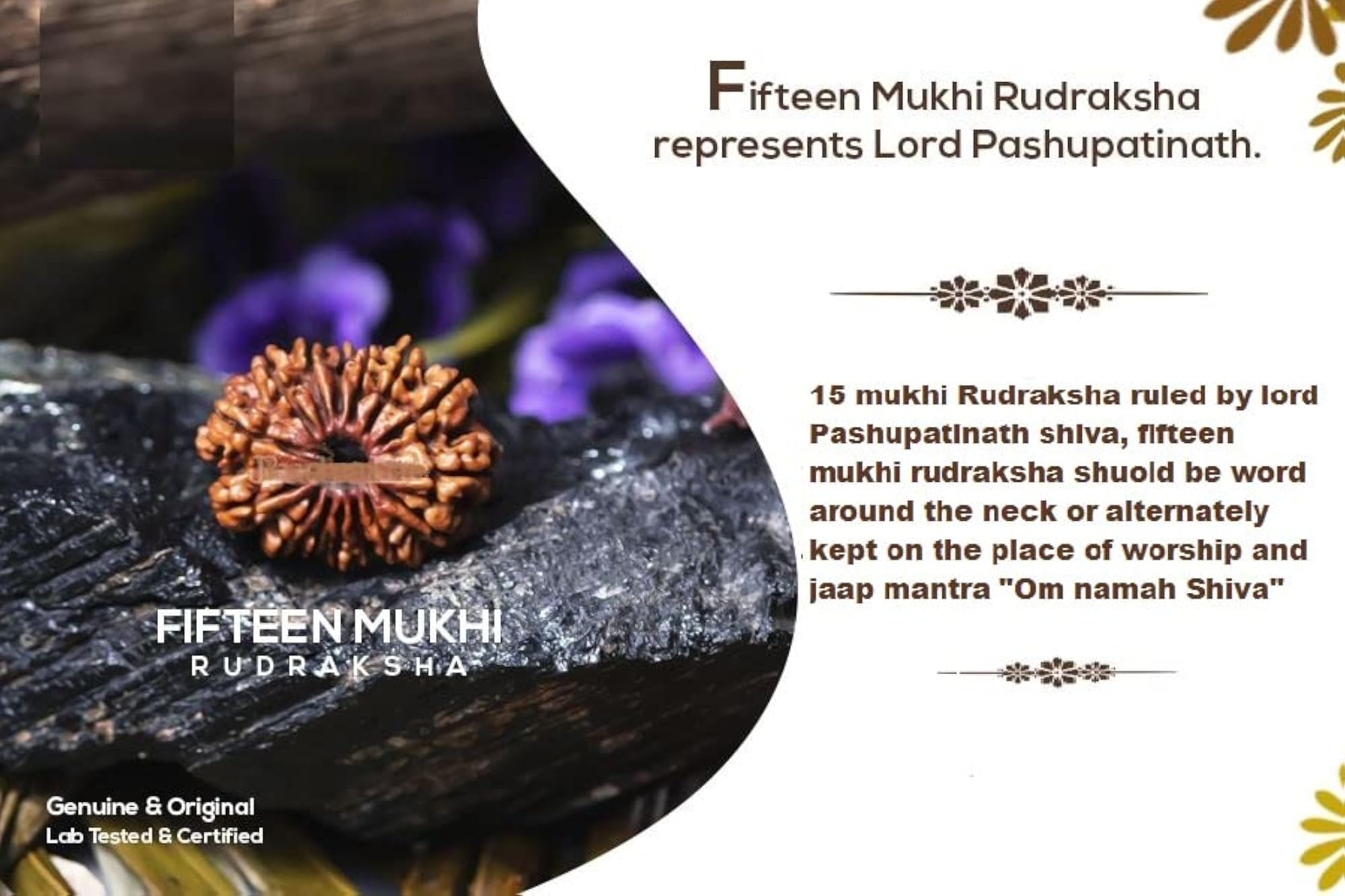 15 Mukhi Rudraksha Original Certified Nepali Silver Cap
