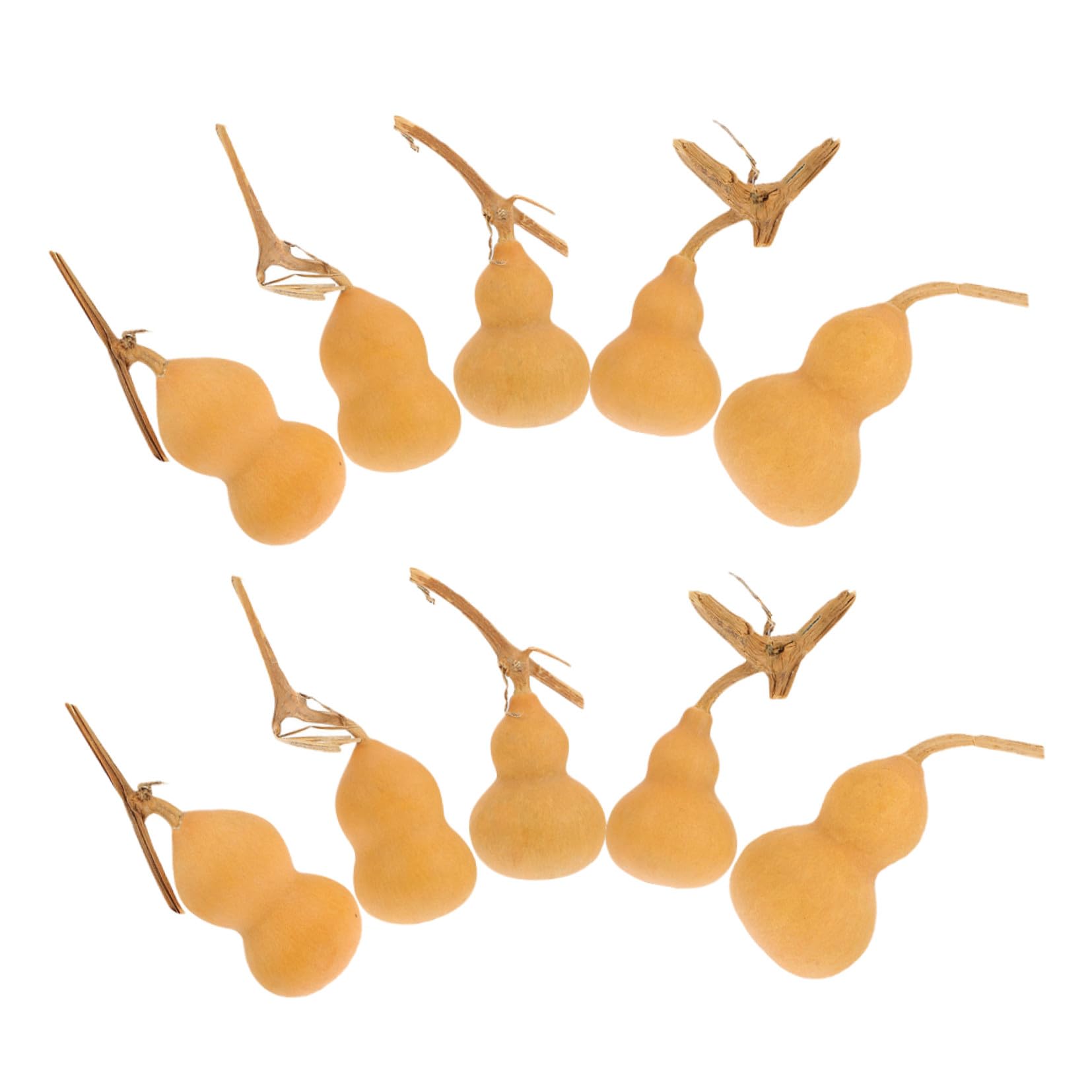 10 Piezas Adornos de Calabaza Naturales Mini 4-6 CM Decoraciones Artesanales Pequeñas para Hogar Oficina y Fiestas Calabazas Decorativas Ligeras y Fáciles de Colocar