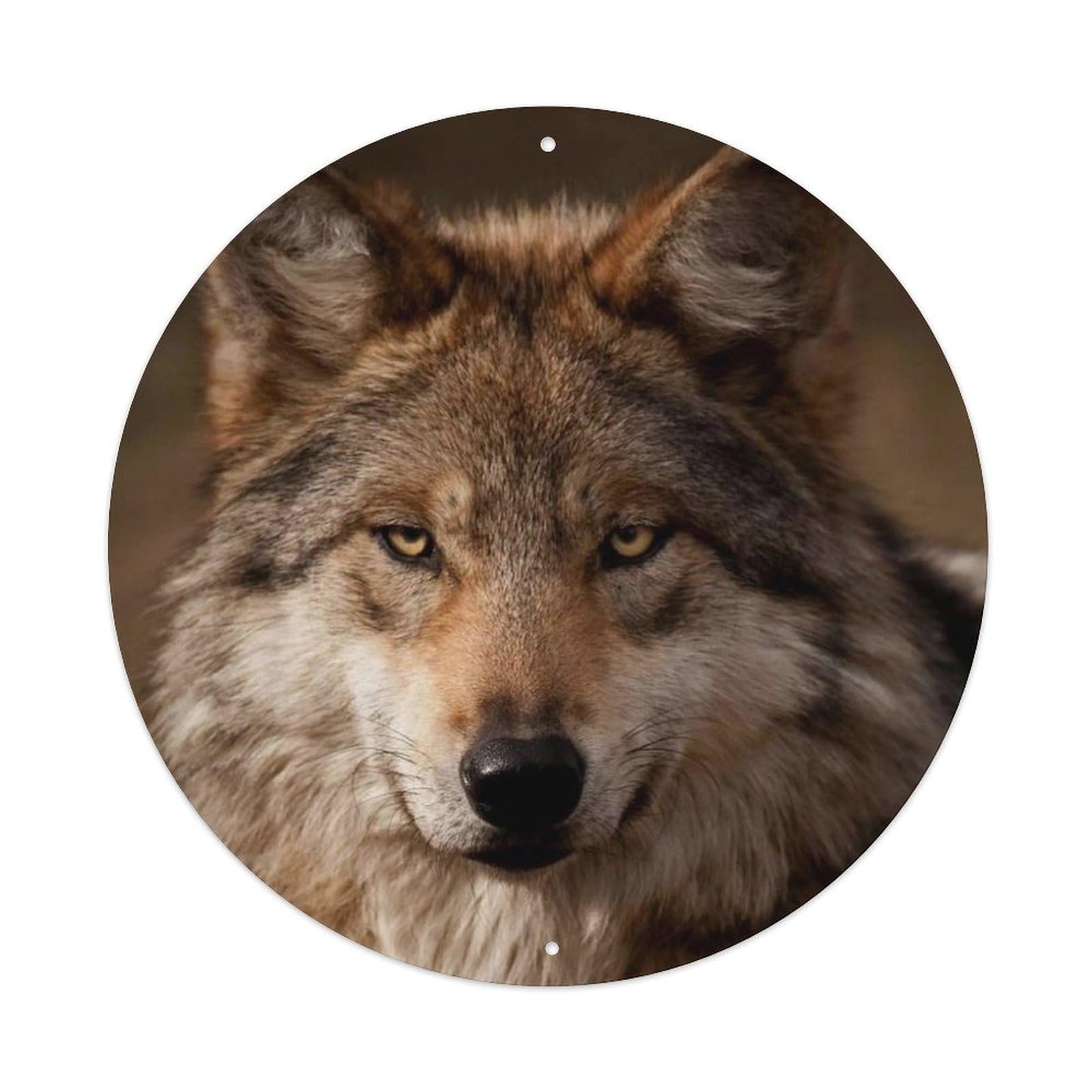 Grey Wolf Wilderness Habitat Photography Poster Metal Tin Sign