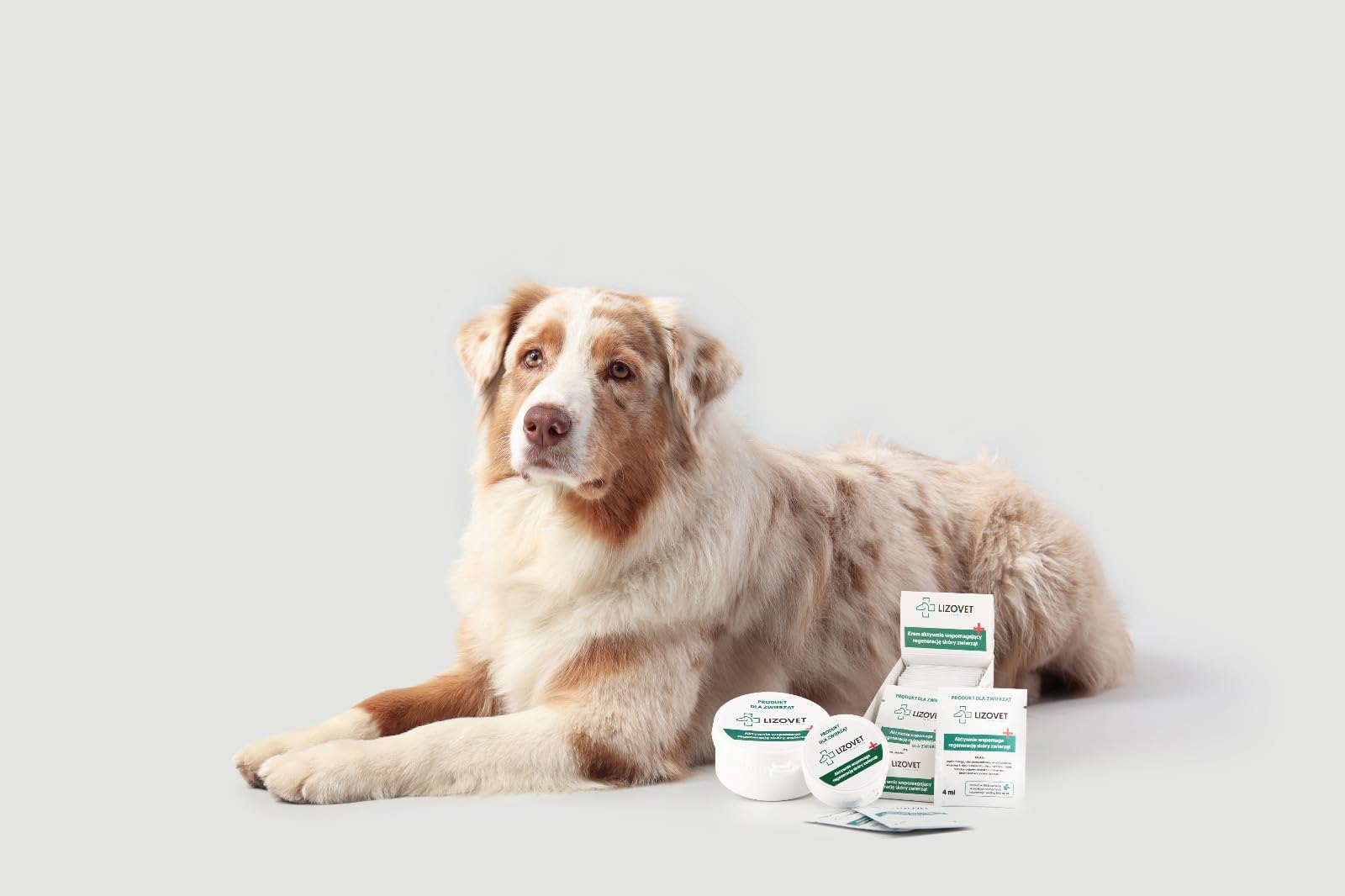 Hautpflege für Tiere, unterstützend bei der Hautregeneration, regenerationsförderndes Mittel, Salbe 40x4 ml, pflegend, antibakteriell, hydratisierend, geeignet für Pferde, Hunde und Nutztiere | Antibakteriell, hydratisierend, pflegend, für Pferde, Hunde u