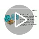 Image of Basil Bento Box Quad - 4 Compartment Stainless Steel Lunch Box with BPA-Free Plastic Lid | 800 ml Leak-Proof Tiffin Box for Kids & Adults | Premium School, Office, and Picnic Lunch Box - Teal Garden
