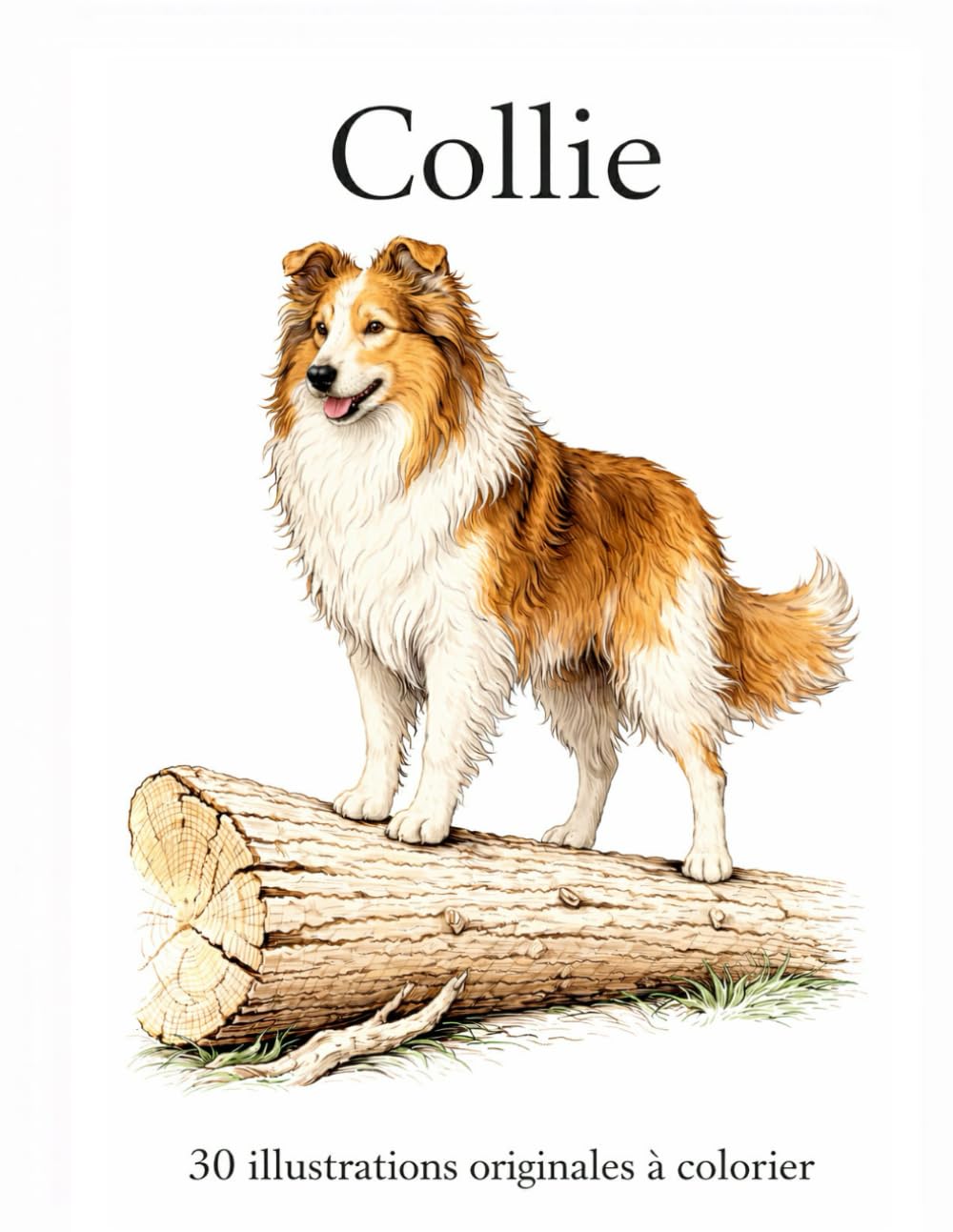 Collie: Collie ( Colley) 30 illustrations originales à colorier