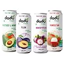 Dadu Fresh Fruit Juice Combo | Avocado & Mango, Plum, Mangosteen & Rambutan | Pure Fruit Healthy Beverage | No Added Sugar, No Preservatives, Not from Concentrate | Vitamin Rich & Naturally Refreshing | 1210ml (4 Cans) gallery image