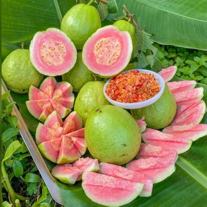 See full amazon price history chart for Golden Bloom Original Taiwan Pink Guava Plant - Pink taiwan guava plant hybrid all seasons Height 2-3 FT Golden Bloom Original Taiwan Pink Guava Plant - Pink taiwan guava plant hybrid all seasons Height 2-3 FT (B0CXY625Q7) Amazon Price History, Amazon Price Tracker