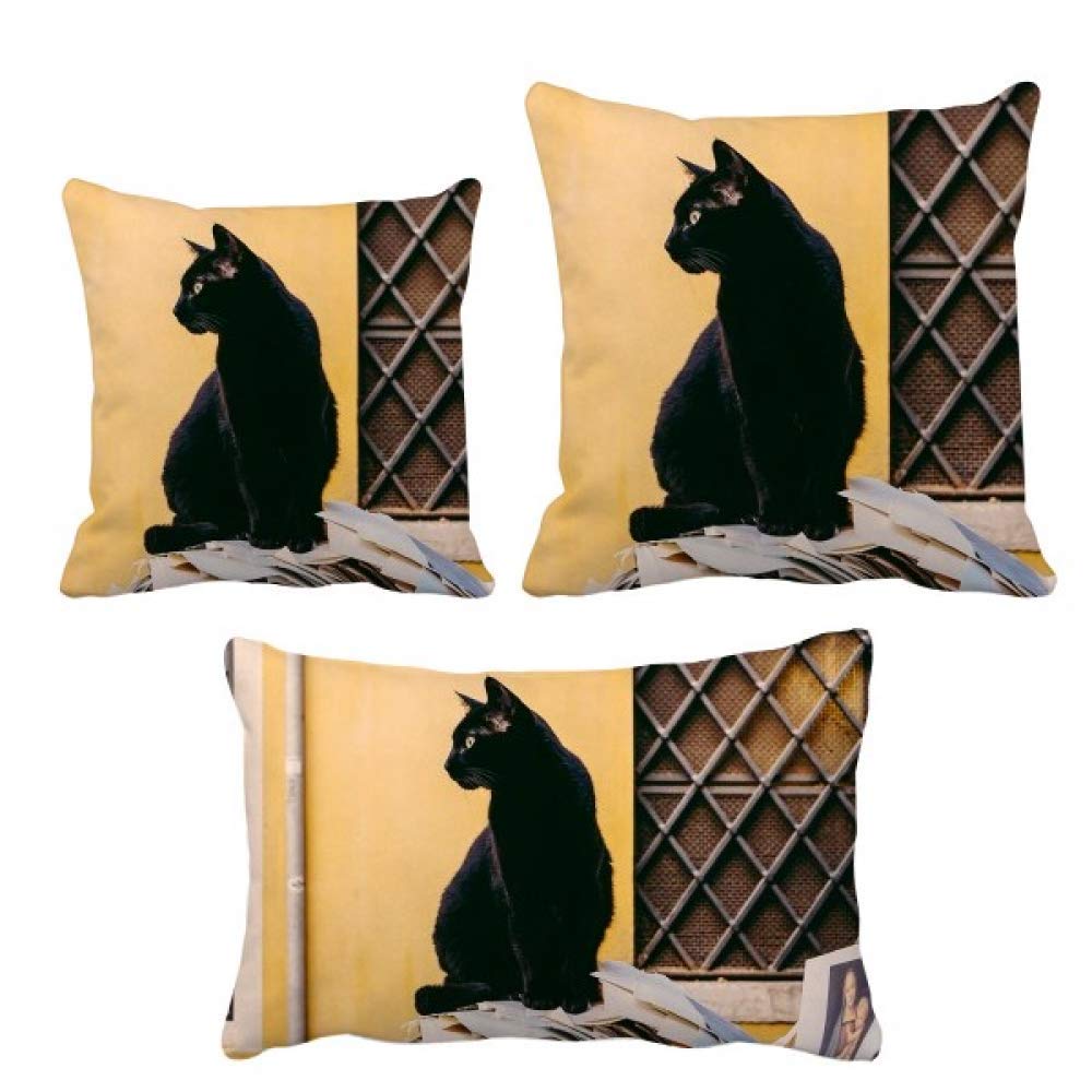 Housse de coussin chat noir aux finitions soignées pour grand confort