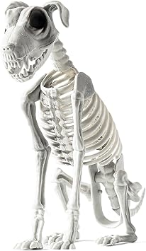 Halloween Dog Skeleton,Realistic Sitting Skeleton Animal Decorations,Posable Dog Body,Haunted House,Spooky Halloween Prop