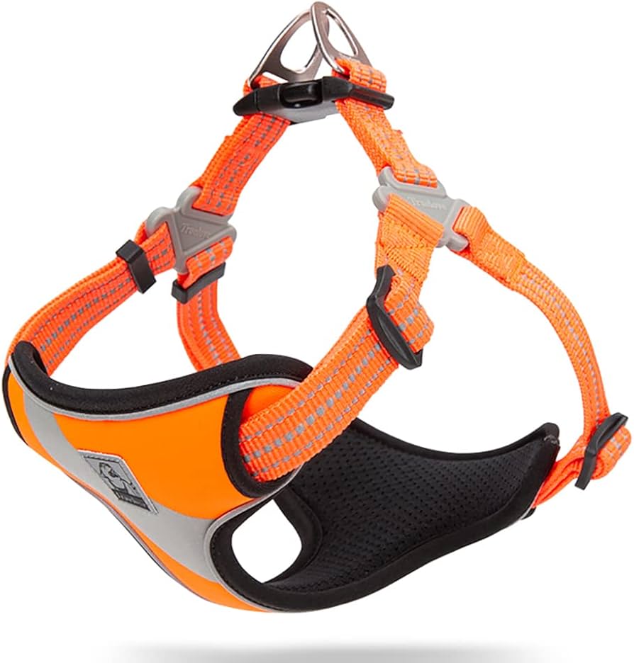 Amazon | J&C Paradise 快適 犬ハーネス 日本正規店 犬用胴輪 簡単装着